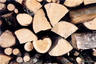 木材（cái）橫紋抗拉強度試驗方法（fǎ） GB/T 14017